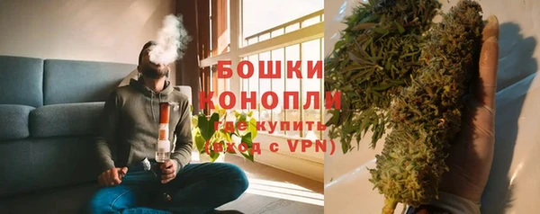 шишки Абаза