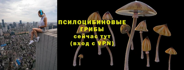 гидра Костерёво