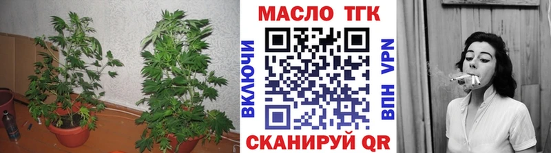 Дистиллят ТГК Wax  сколько стоит  кракен зеркало  Дмитров 