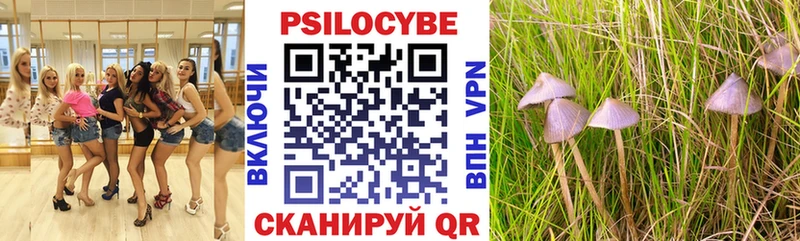 Галлюциногенные грибы Psilocybine cubensis  как найти закладки  Дмитров 
